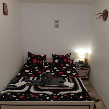 סיגישוארה Florin Apartament מראה חיצוני תמונה