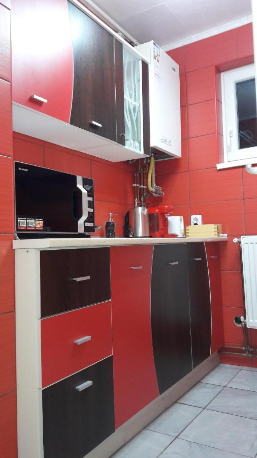 סיגישוארה Florin Apartament מראה חיצוני תמונה