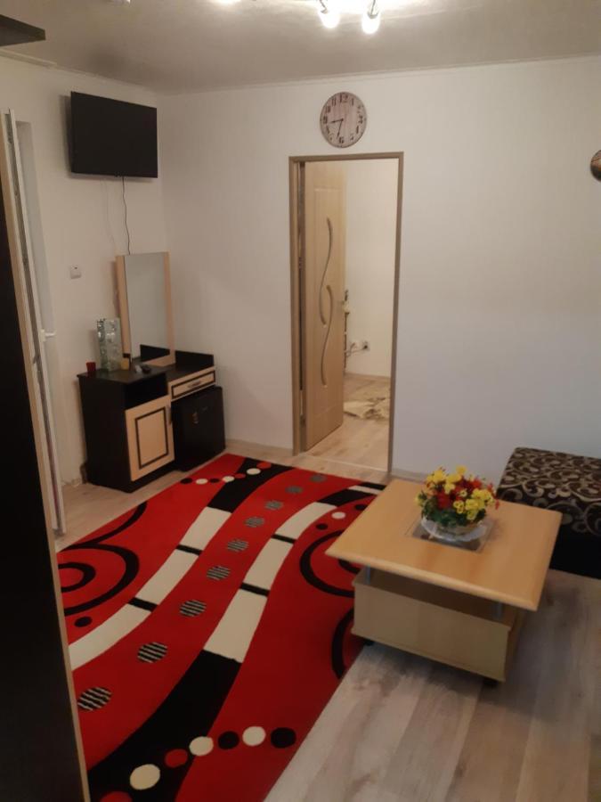 סיגישוארה Florin Apartament מראה חיצוני תמונה