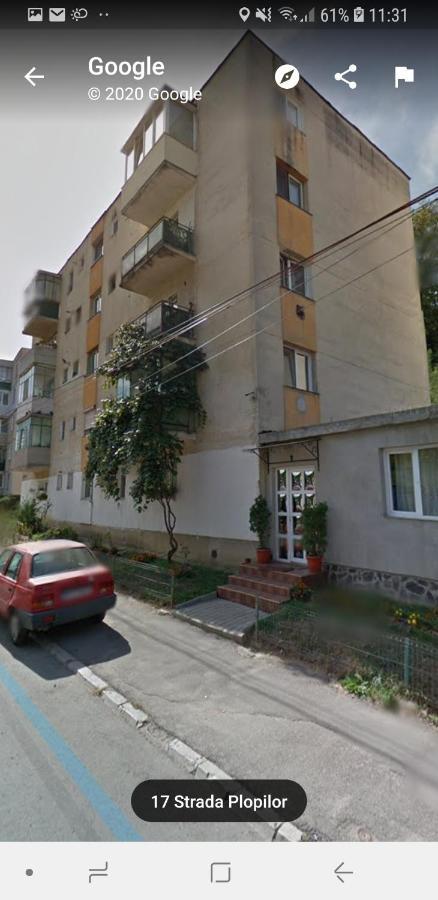 סיגישוארה Florin Apartament מראה חיצוני תמונה