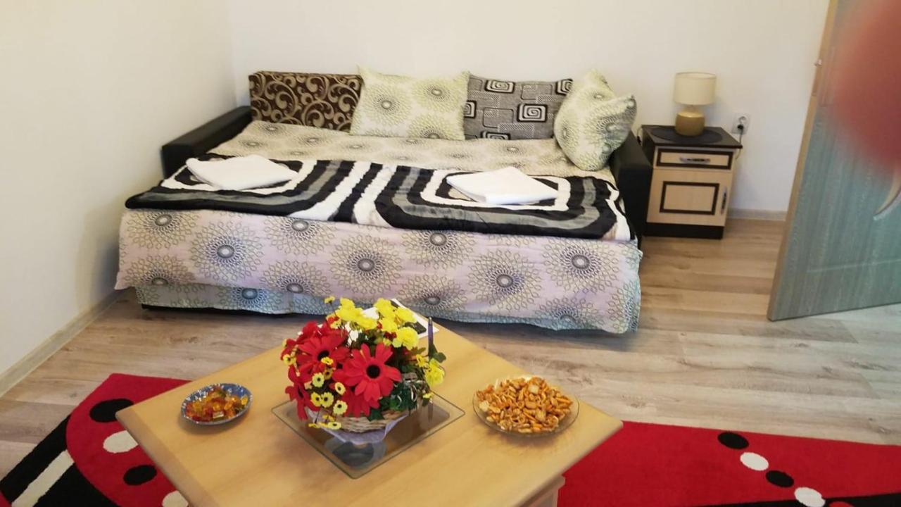 סיגישוארה Florin Apartament מראה חיצוני תמונה