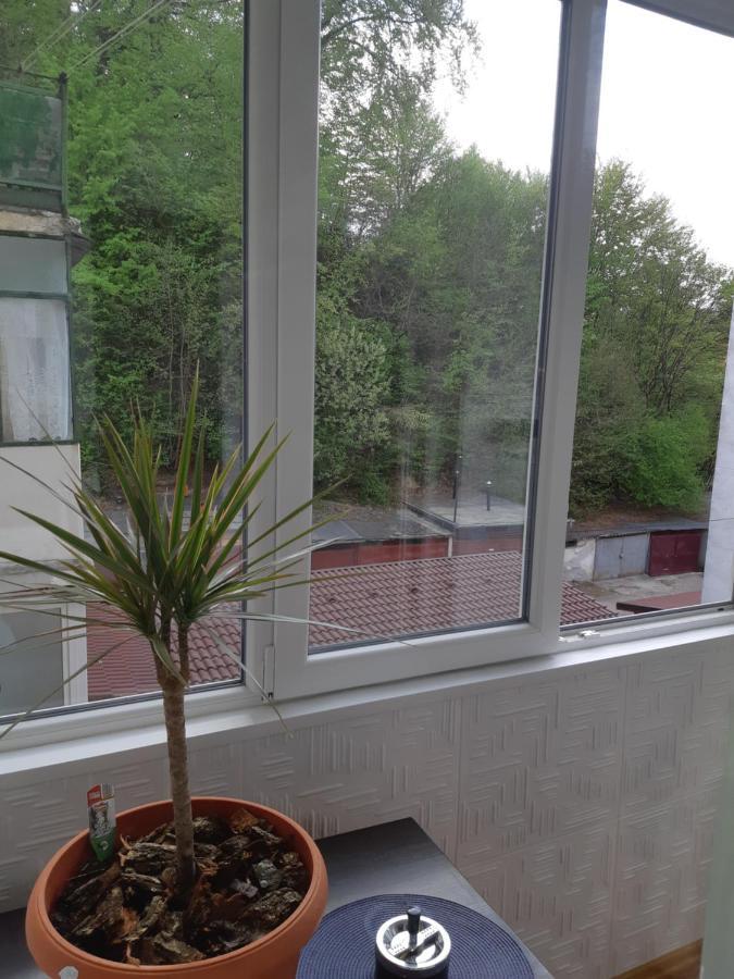 סיגישוארה Florin Apartament מראה חיצוני תמונה