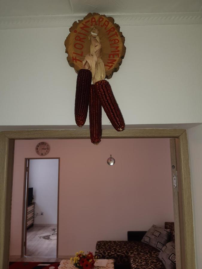 סיגישוארה Florin Apartament מראה חיצוני תמונה