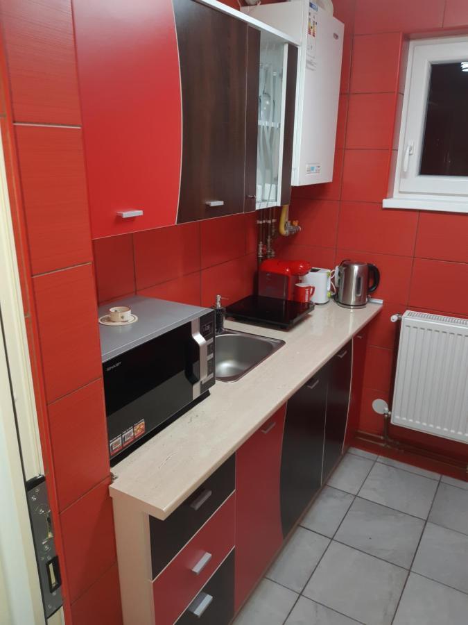 סיגישוארה Florin Apartament מראה חיצוני תמונה