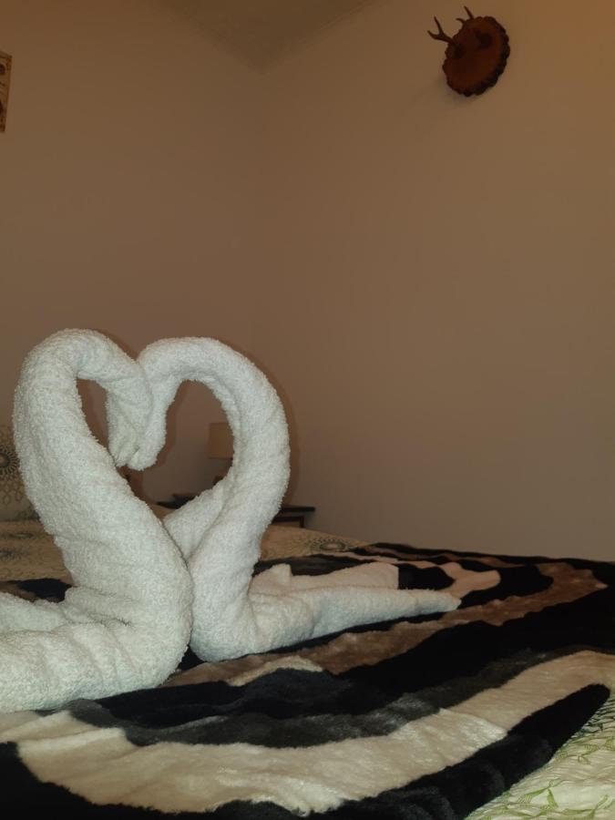 סיגישוארה Florin Apartament מראה חיצוני תמונה