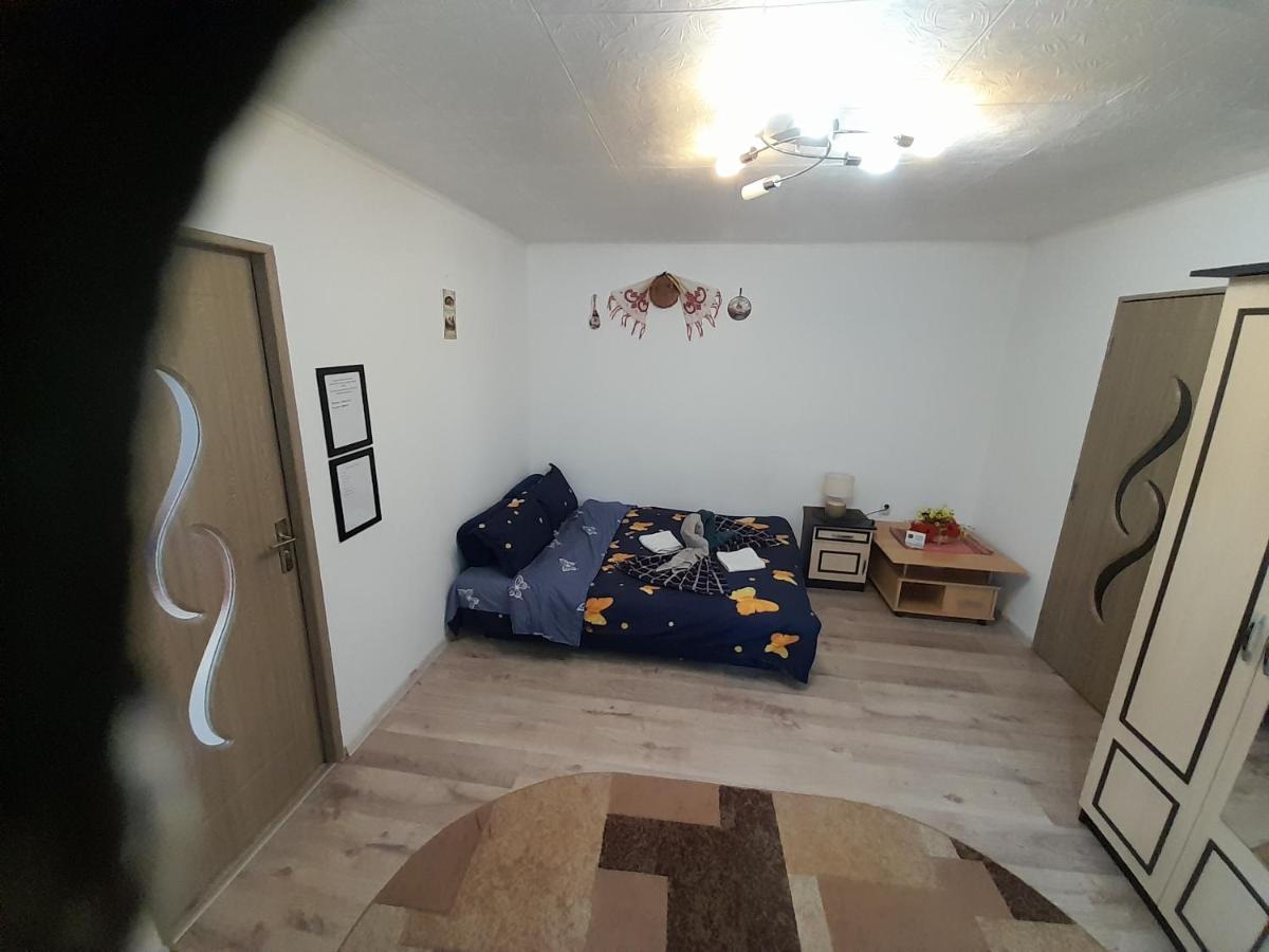 סיגישוארה Florin Apartament מראה חיצוני תמונה